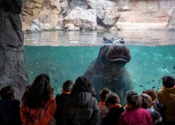 Los mejores planazos para hacer con niños esta Navidad en Valencia