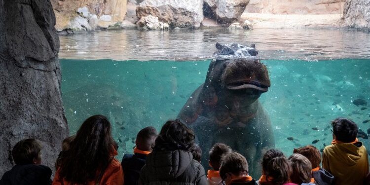 Los mejores planazos para hacer con niños esta Navidad en Valencia