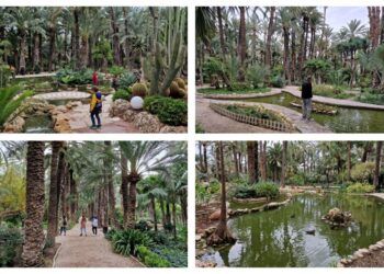 El Huerto del Cura, la joya del palmeral de Elche que es Jardín Artístico Nacional desde 1943