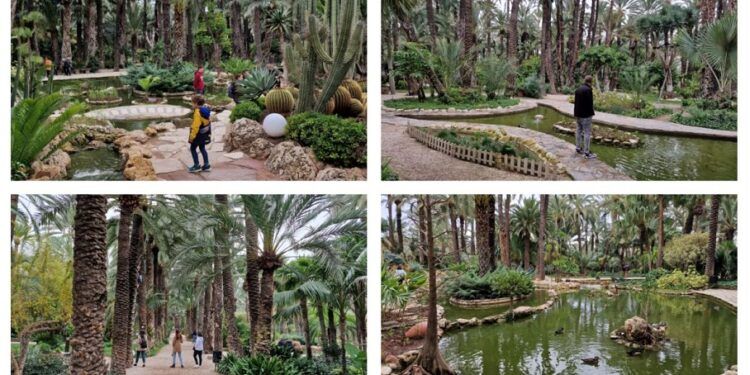 El Huerto del Cura, la joya del palmeral de Elche que es Jardín Artístico Nacional desde 1943