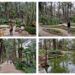 El Huerto del Cura, la joya del palmeral de Elche que es Jardín Artístico Nacional desde 1943