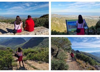 Ruta por el Paraje Natural Parpalló-Borrell, un precioso recorrido en Gandia lleno de vegetación