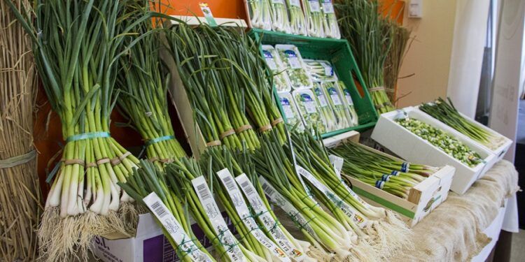 Llega FirAll 2023, la Feria del Ajo Tierno de Xàtiva con actividades, gastronomía y visitas guiadas