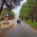 El Poble Vell y les Penyetes desde Beneixida, una ruta en Valencia para hacer en bici o caminando