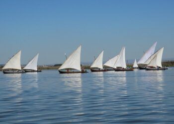 Regresan en septiembre las exhibiciones de Vela Latina a la Albufera de Valencia