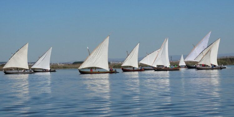 Regresan en septiembre las exhibiciones de Vela Latina a la Albufera de Valencia