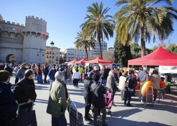 Mercado extraordinario de naranjas y limones junto a las Torres de Serranos de Valencia