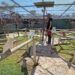 El Jardín del Papagayo, un parque zoológico interactivo con más de 50 especies de papagayos