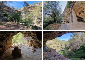 La Cueva de la Cambriquia, un bello paraje en Bicorp lleno de vegetación de bosque mediterráneo