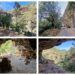 La Cueva de la Cambriquia, un bello paraje en Bicorp lleno de vegetación de bosque mediterráneo