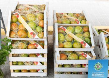 Meliana celebra este fin de semana la 2º edición de su feria del tomate