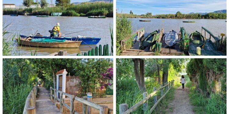 La Senda del Estany, un precioso recorrido en Cullera para conocer una laguna de transición