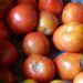La plaza de la Reina de Valencia acoge este próximo sábado un mercado de tomates valencianos