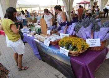 Ademuz acoge este fin de semana un mercado artesanal por la floración de sus campos de lavanda