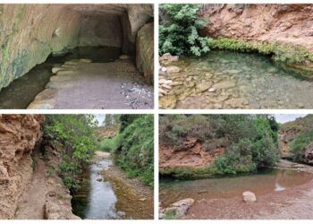 La Fuente de los Gallos, un precioso rincón de Peñalba junto al paso del río Chico