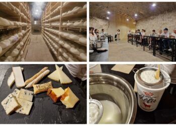 Hoya de la Iglesia, una quesería artesanal con catas guiadas y talleres para elaborar queso fresco