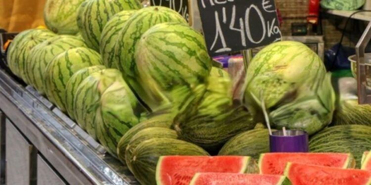 Mercado extraordinario de frutas y verduras de verano para reivindicar precios justos en la huerta