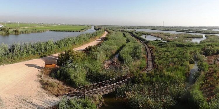 Descubre el Tancat de la Pipa, una bella zona de reserva de la Albufera de Valencia
