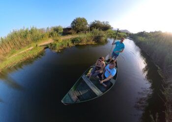 El itinerario interpretativo en barca por el riu Salinar, un bello paseo por la Marjal de Pego-Oliva