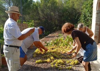 Ròtova revive un año más, por quinto consecutivo, la fiesta de l’Escaldà de la Pansa