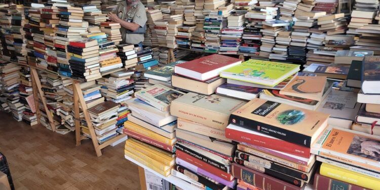 El Club de los Libros Libres, el refugio secreto de Valencia donde dar una segunda vida a los libros