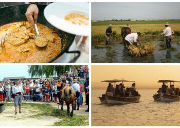 El Puerto de Catarroja acoge la Fiesta de la Siega con gastronomía, paseos en barca y actividades