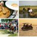 El Puerto de Catarroja acoge la Fiesta de la Siega con gastronomía, paseos en barca y actividades