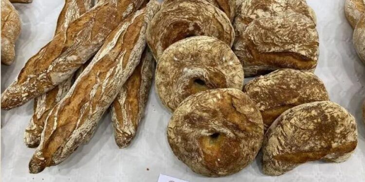 Estos son los ganadores del concurso de Panes Tradicionales y Panes Especiales de 2023 de Valencia