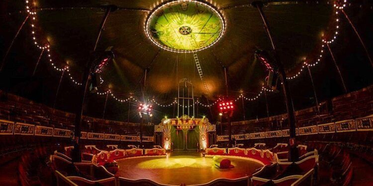 Uno de los mejores circos de Europa se instala desde esta semana en Valencia durante la Navidad