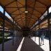 El Mercado del Grao de Valencia reabre tras estar 5 años cerrado y abrirá también por las tardes