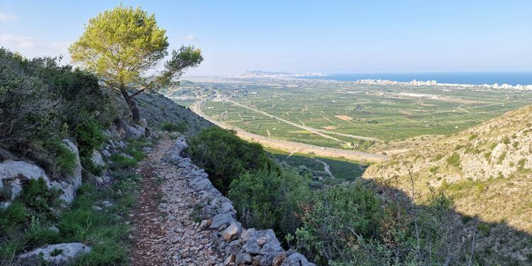 Ruta por el Camí de la Cadira, la Senda de la Taula, el Pla de les Foies y la Senda de les Foietes