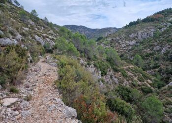 La Cova del Gori-gori, el Barranc dels Bassiets y la Font dels Olbits, una bella ruta circular en l´Orxa