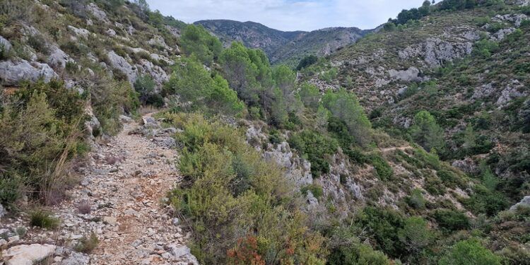 La Cova del Gori-gori, el Barranc dels Bassiets y la Font dels Olbits, una bella ruta circular en l´Orxa