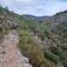 La Cova del Gori-gori, el Barranc dels Bassiets y la Font dels Olbits, una bella ruta circular en l´Orxa