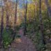 La ruta otoñal de la Sierra Malacara, un recorrido en Buñol para disfrutar del colorido estacional