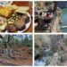 Molí l’Abad, un bello rincón para desconectar en pleno Parque Natural de la Tinença de Benifassà