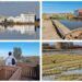 La Ruta Ornitológica Amarilla de la Albufera, un precioso paseo de El Palmar al Portet de Sollana
