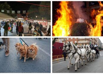 Valencia celebra la fiesta de Sant Antoni con mercado del porrat, hoguera y bendición de animales