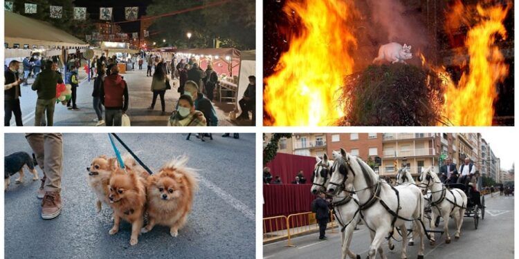 Valencia celebra la fiesta de Sant Antoni con mercado del porrat, hoguera y bendición de animales