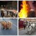 Valencia celebra la fiesta de Sant Antoni con mercado del porrat, hoguera y bendición de animales