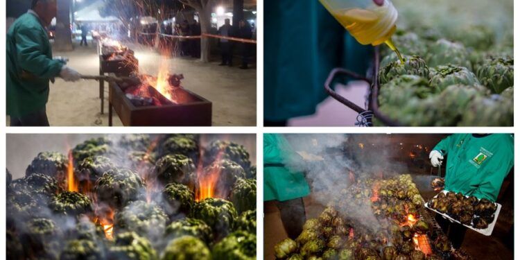 Benicarló celebra una gran «torrà” popular de alcachofas para despedir su Fiesta de la Alcachofa