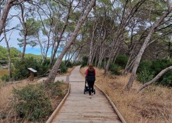 De ruta con carrito de bebé por 3 Itinerarios de la Devesa, un recorrido fácil a un paso de Valencia
