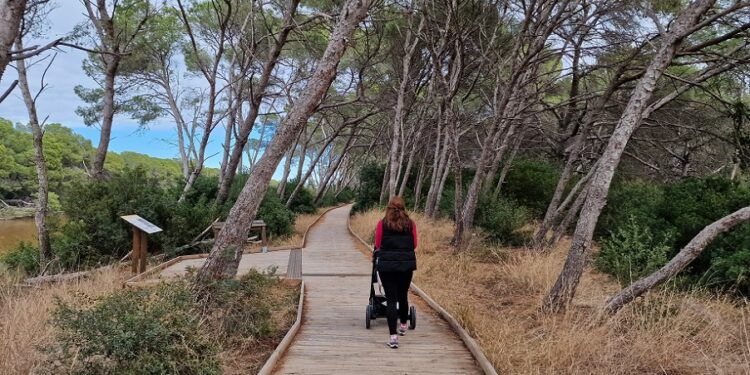 De ruta con carrito de bebé por 3 Itinerarios de la Devesa, un recorrido fácil a un paso de Valencia