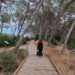De ruta con carrito de bebé por 3 Itinerarios de la Devesa, un recorrido fácil a un paso de Valencia