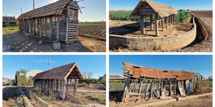 La Ruta de las Ceberas de la huerta de Xirivella, un paseo por un patrimonio en peligro de extinción