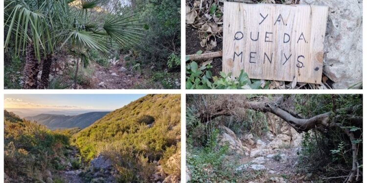 El Barranc de Palomara y el Barranc del Racó dels Surdos, una bella ruta en Simat de la Valldigna