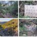 El Barranc de Palomara y el Barranc del Racó dels Surdos, una bella ruta en Simat de la Valldigna