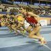 Entrada gratuita en el Luis Puig por el Gran Premio Internacional de Atletismo Valencia 2024