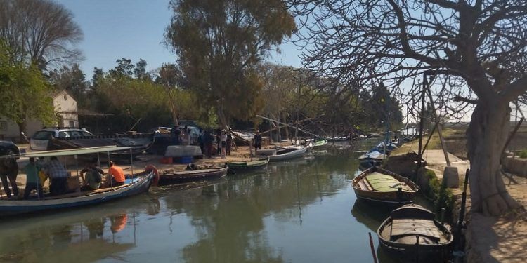 Rutas y actividades gratuitas dirigidas a jóvenes y público familiar en diversos pueblos de Valencia