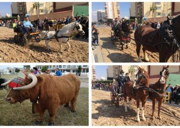 La playa de La Pobla de Farnals celebra en unos días su gran fiesta de San Antonio de la Mar